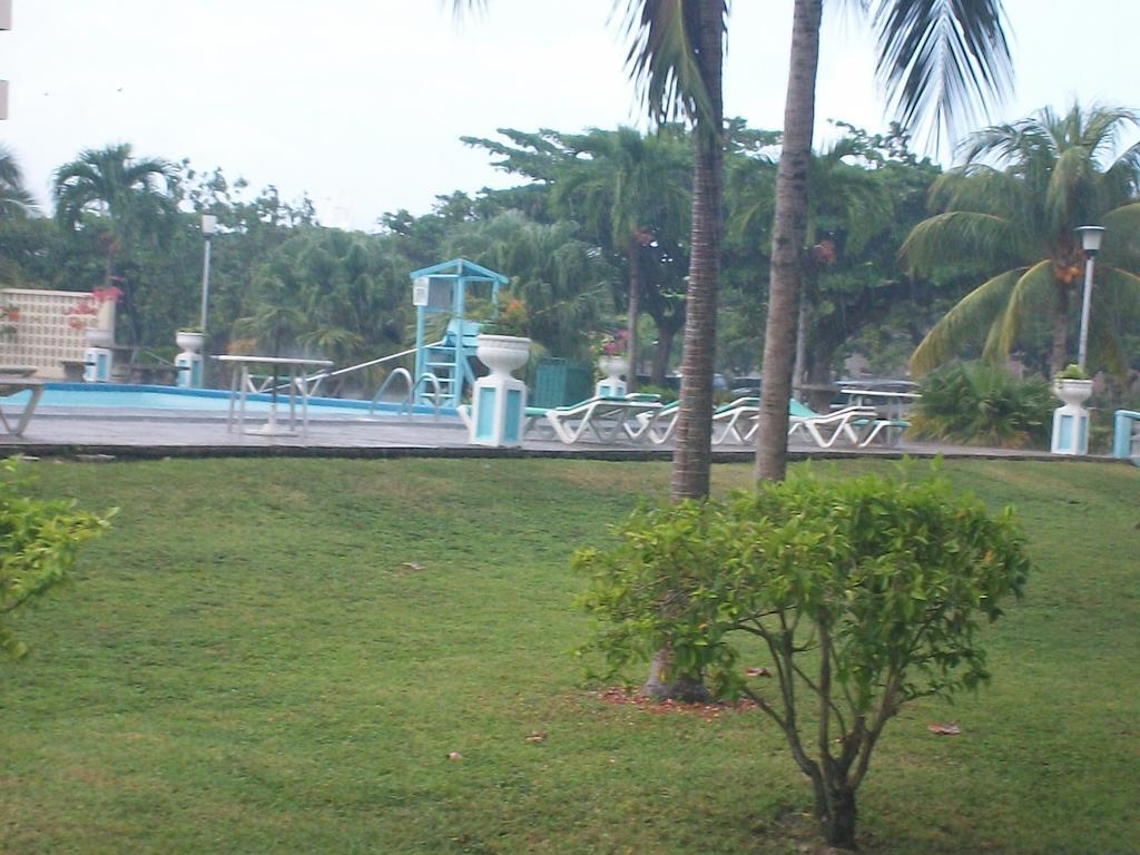 Turtle Towers Apartment Ocho Rios Exterior photo